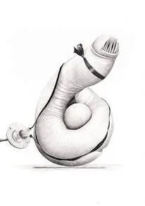 Picture